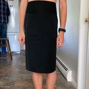 Express Business Skirt
